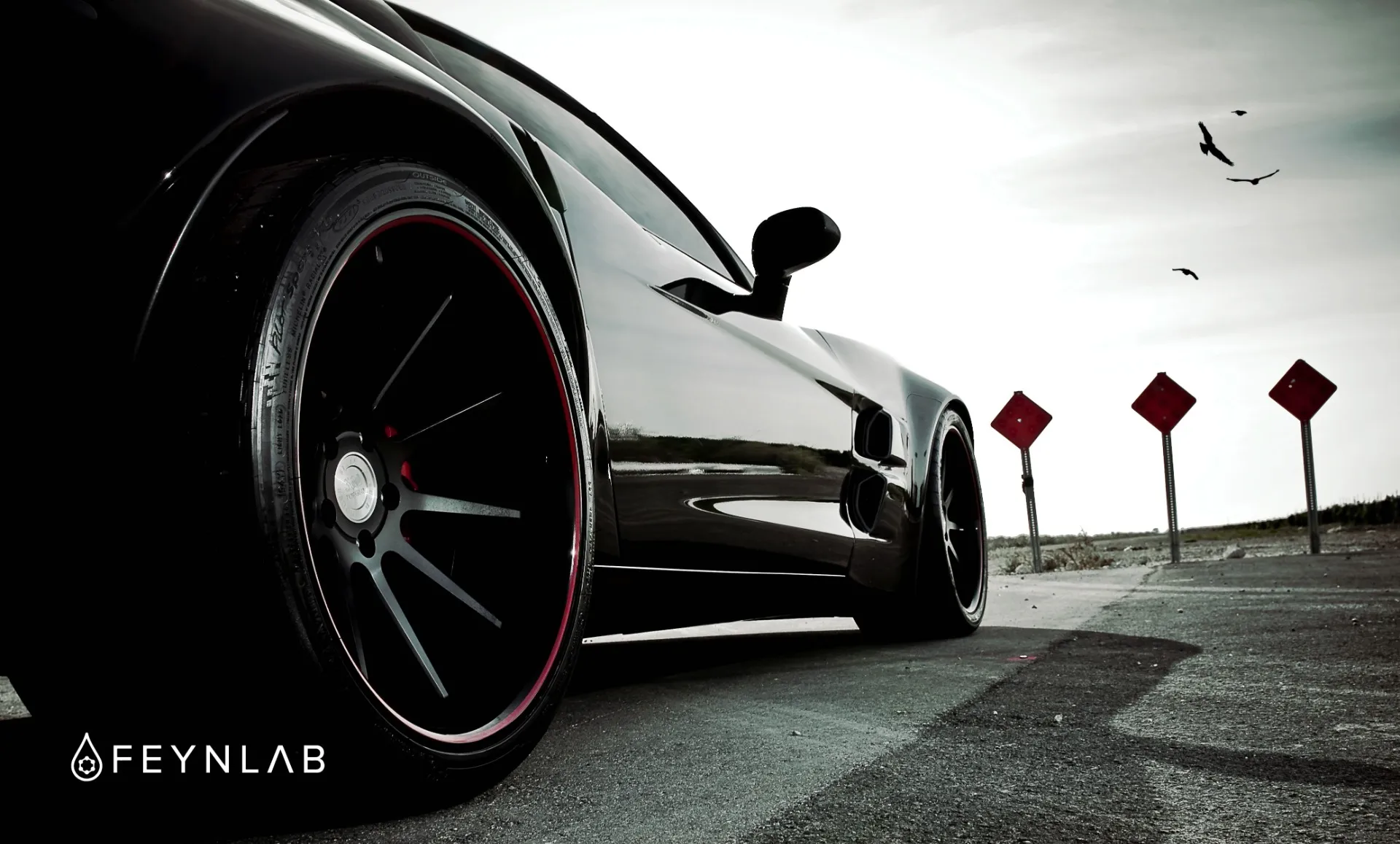 FEYNLAB / HEAL SERIES